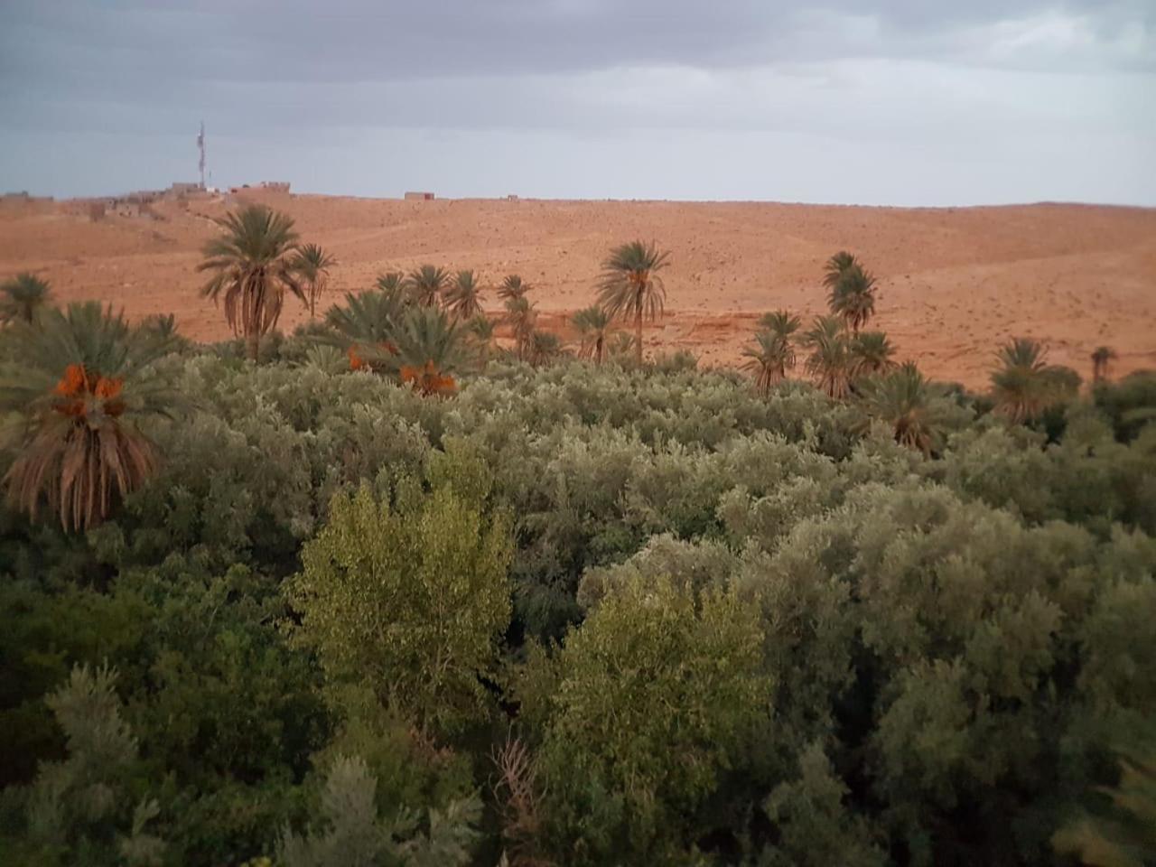 Tinghir Riad Dar Bab Todra מראה חיצוני תמונה